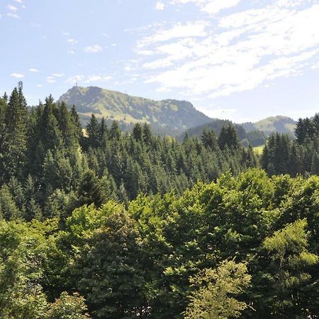 Appartement Kitzbuehel Mit Dachterrasse Dış mekan fotoğraf