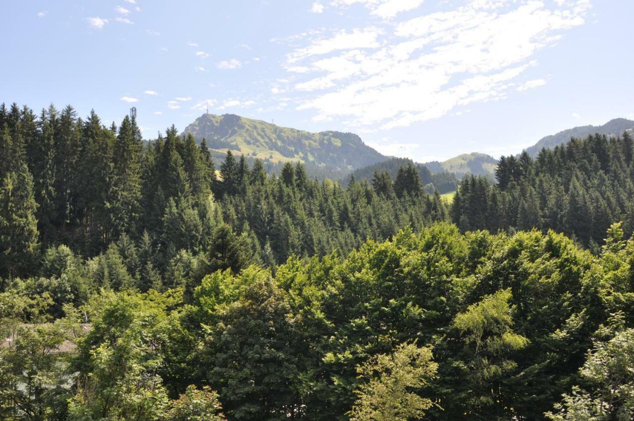 Appartement Kitzbuehel Mit Dachterrasse Dış mekan fotoğraf