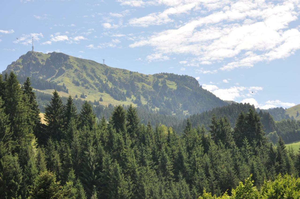 Appartement Kitzbuehel Mit Dachterrasse Dış mekan fotoğraf